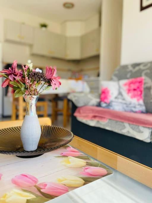 Appartement En Torrevieja